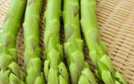 オーガニック野菜　アスパラガス　極太