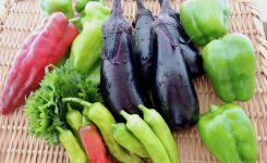 レストランチッチ農園の自然農の野菜