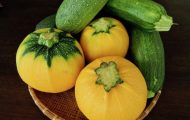 オーガニック　夏野菜　ズッキーニ　無農薬