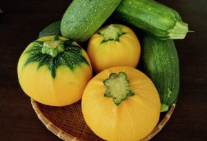 オーガニック　夏野菜　ズッキーニ　無農薬