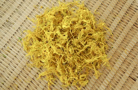 黄色い菊花