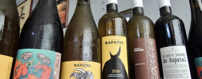 ビオワイン　オーガニックワイン　2025／8 入荷